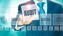 Business Audit - Revenue Assurance Partners